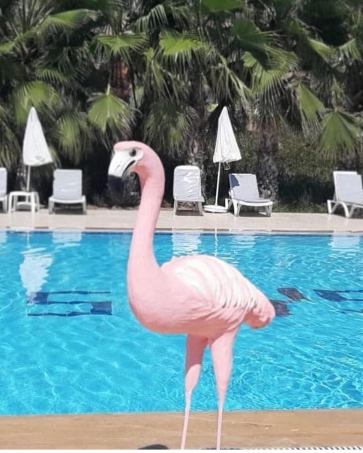 Skys Beach Hotel مانافجات المظهر الخارجي الصورة